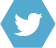 twitter icon